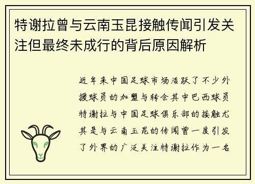 特谢拉曾与云南玉昆接触传闻引发关注但最终未成行的背后原因解析